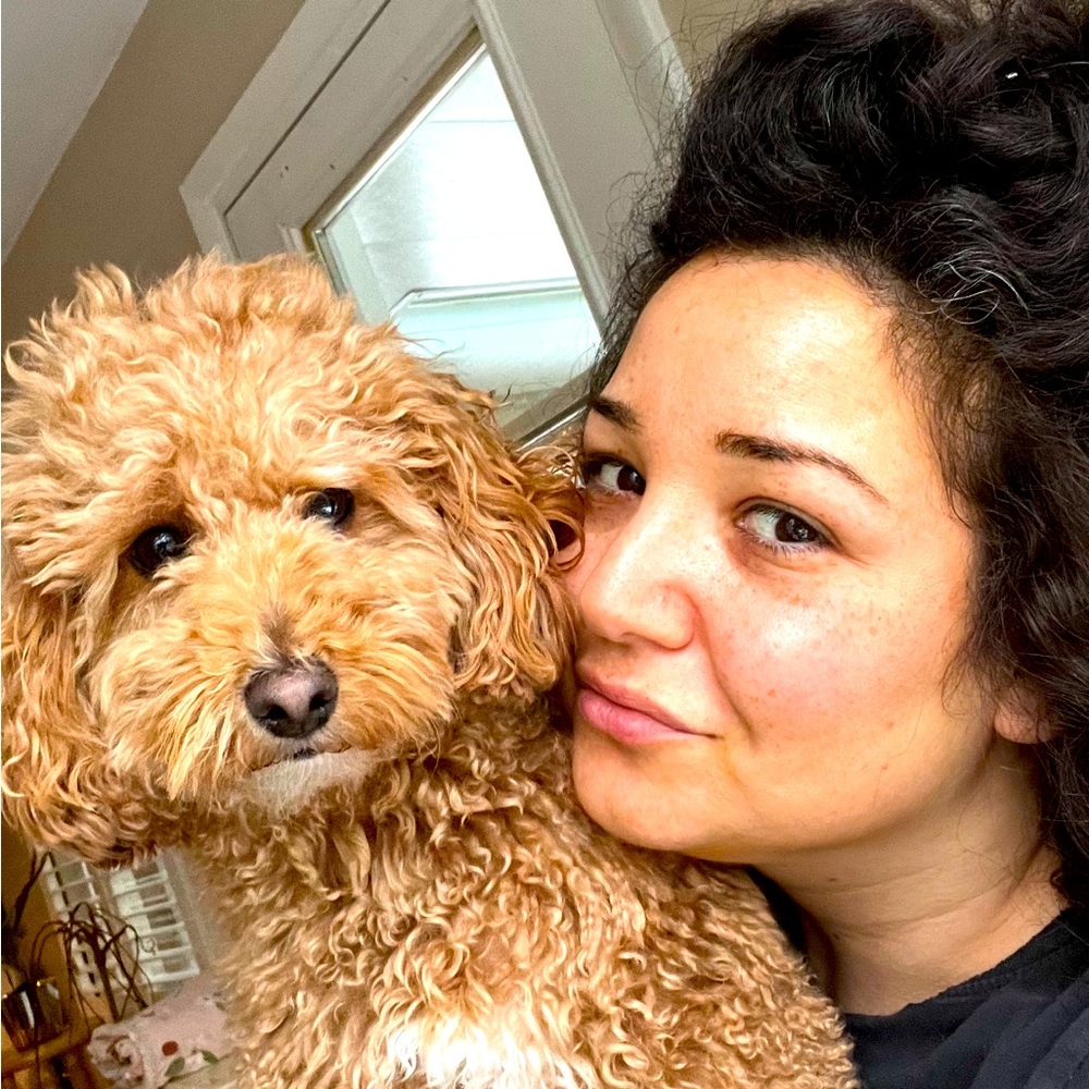 Meet your Posher, Jamie